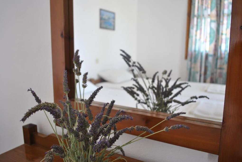 Antigoni Apartments 'Lavender Room' Milatos Exteriör bild